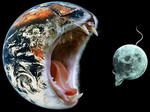  vs Predator...